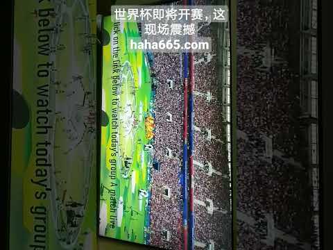 张晶教练谈,亚冬会,遗憾与收获,香港赛马场,赛程安排,赛果查询,马匹资料,赛事动态