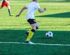 波傑姆,科爾領軍投,手發威,香港赛马场,赛程安排,赛果查询,马匹资料,赛事动态